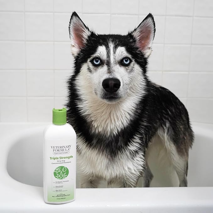 Veterinary Formula Smart Coat Complex Triple Strength Dirty Dog Concentrated Shampoo, 17 Fl oz – DirtRepel Tech Cleans Extra Dirty and Smelly Dogs – Contains Shea Butter and Aloe Vera to Soothe