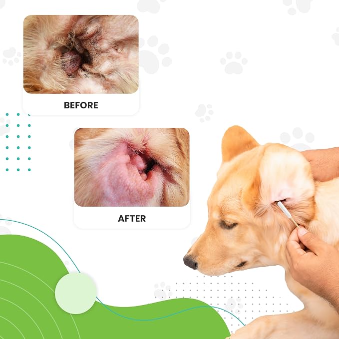 We Love Doodles Dog Ear Cleaning Solution Kit | Prevent Infections | Natural | Made in USA | Ear Drops for Dogs | Itching, Deordoring, Yeast & Mites Infection (Serum + 25 Swabs)
