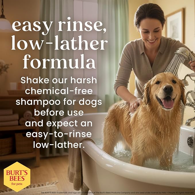 Burt's Bees for Pets Oatmeal Shampoo for Dogs, Prebiotics Collection with Mushroom Extract & Colloidal Oatmeal, Naturally Derived Dog Shampoo Itchy Skin Relief, 16oz