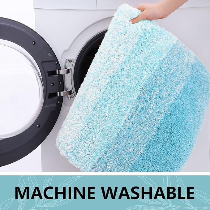 Arotive Microfiber Bathroom Rugs, Shaggy Soft and Absorbent Bath Rug, Thick Plush Machine Washable Dry Bath Mats for Bathroom, Tub and Shower, 30x20, Sky Blue, Rectangular