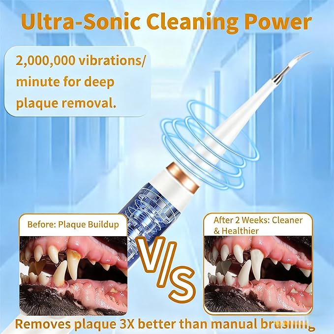 Dog Tartar Remover for Teeth, Dental Tools to Remove Plaque and Tartar, Pet Teeth Cleaning Kit with LED Light & USB, 5 Modes, IPX6 Waterproof, Silent Sonic for All Dogs and Cats, White