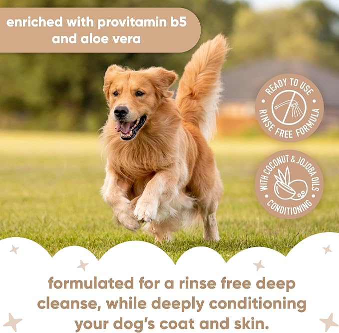 Buddycare 2in1 Conditioning Waterless Dry Dog Shampoo – No Rinse Quick Clean Foam, with Aloe & Pro Vitamin B5, Nourishing Coat & Skin Care, Travel Friendly, SLS & Paraben Free, Vegan Pet Grooming