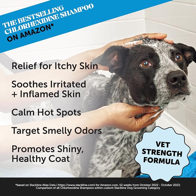 Pet Honesty Ultimate Skin & Wellness Virtual Bundle Duo — Chlorhexidine Itch Relief Shampoo (16 oz) + 10-in-1 Multivitamin Soft Chews (90 ct)
