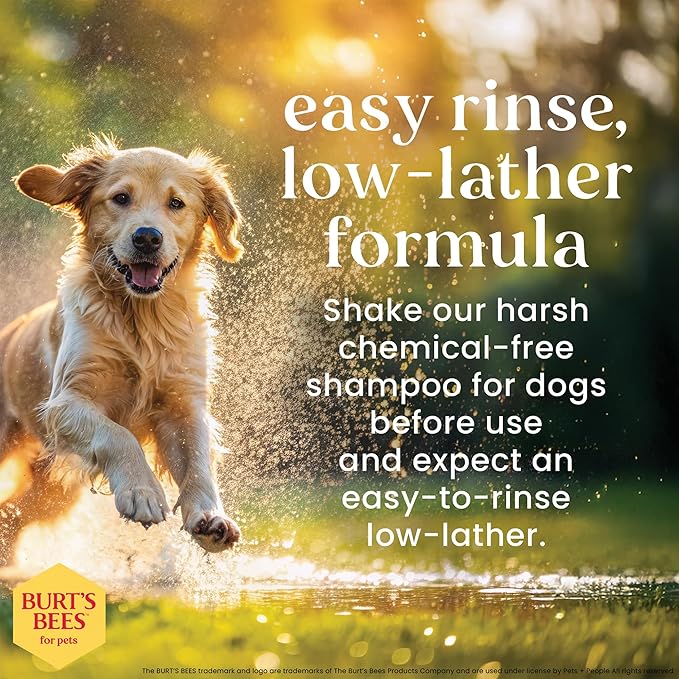 Burt's Bees for Pets Oatmeal Dog Shampoo with Honey, Soothing Formula for Itchy and Sensitive Dog Skin, Colloidal Oat Flour and Honey, pH Balanced, Sulfate-Free, 16 Fl Oz