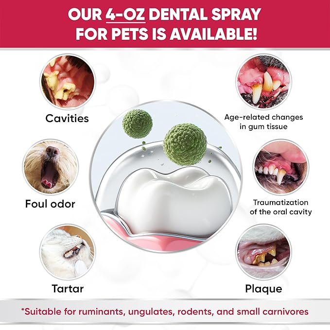 Dental Spray for Pets – Cat & Dog Breath Freshener that Helps with Tartar, Plaque, & Bad Odor – Silver 50 PPM + Valerian Flavour for Dog Teeth Cleaning – 4 Oz