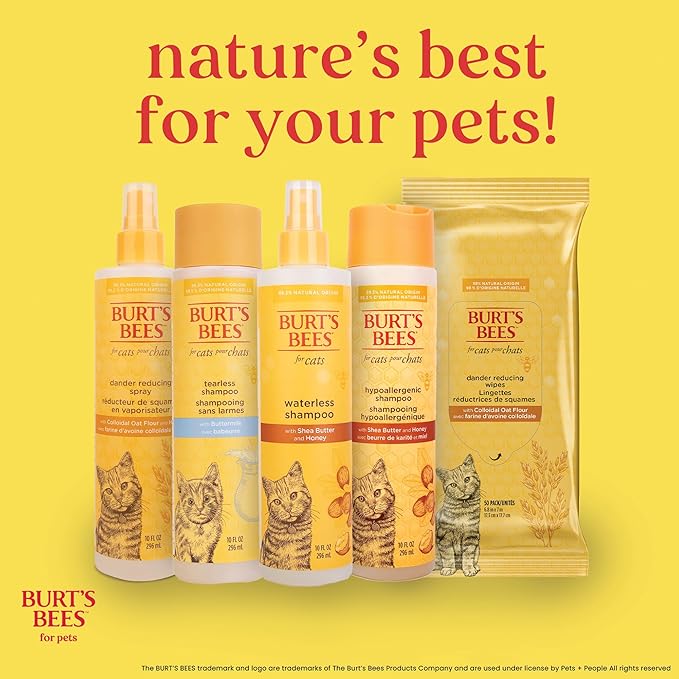 Burt's Bees for Pets Waterless Cat Shampoo Spray, No-Rinse Cat Dry Shampoo with Shea Butter & Honey for Gentle Cleaning Between Baths, pH Balanced, No Harsh Detergents, 10 Fl Oz - 6 Pack