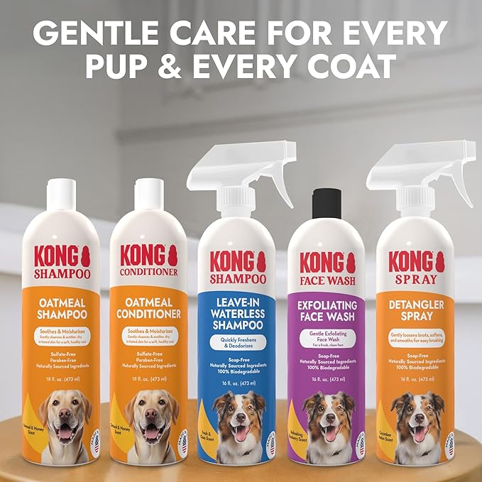 Kong Detangler Spray for Dogs – Cucumber Melon Scent, 16 fl oz – Loosens Knots, Softens & Smooths Coats, Biodegradable, Alcohol-Free, Dye-Free, Cruelty-Free, for Sensitive Skin, Made in USA