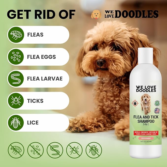We Love Doodles Flea Shampoo for Dogs - Stops Fleas & Ticks for Dogs, Natural, Safe & Effective Lice Treatment, Soothing Shampoo for Sensitive Skin, Manufactured in USA, 16 oz