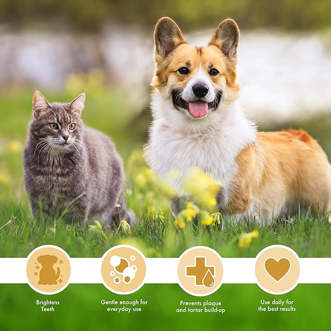 Petkin Plaque Spray, Peanut Butter, 4 Fl Oz - Cleans Teeth & Gums, Removes Plaque & Tartar, Freshens Breath & Whitens Teeth with Baking Soda - Ideal Cat & Dog Dental Spray with No Brushing or Rinsing