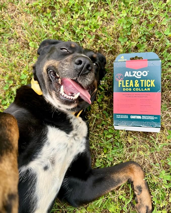 ALZOO Natural Flea & Tick Dog Collar - Helps Repel Fleas, Ticks & Mosquitoes - 100% Plant-Based Active Ingredients - Waterproof - Up to 4 Months Protection - Large-Sized Dogs: 40+ lbs - Single
