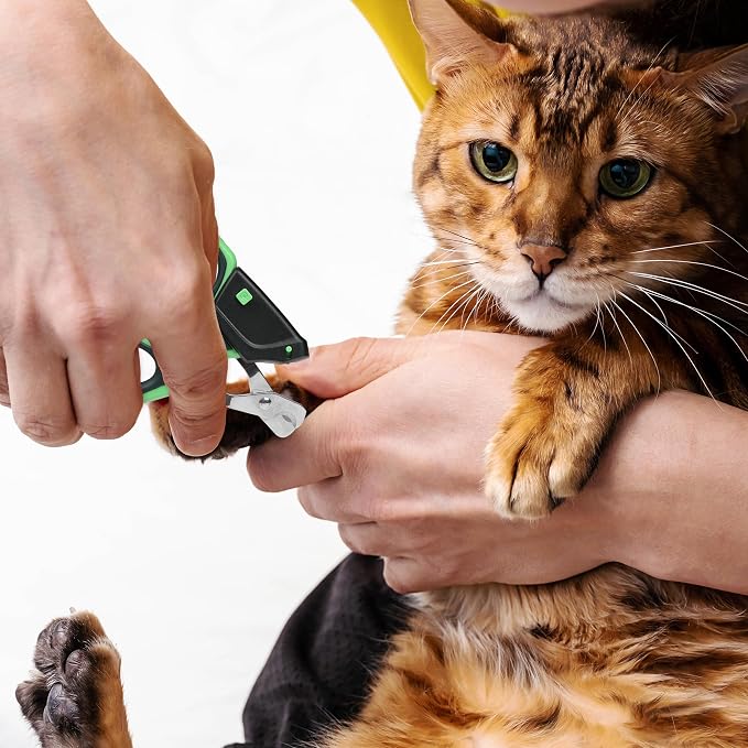 Mr. Pen- Cat Nail Clipper with Adjustable LED Light, Green Cat Nail Trimmer | Cat Claw Clippers, Cat Clippers for Nails, Pet Nail Clippers, Kitten Nail Clipper, Small Dog Nail Clipper Cat Claw Trimmer