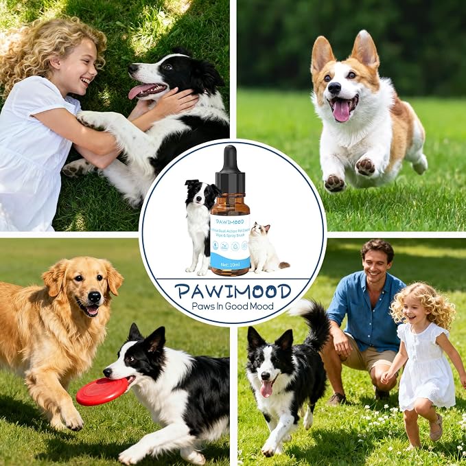 6Pcs Waterless No-Rinse Pet Shampoo Essence for Dogs & Cats, Concentrated Deodorizing Formula Neutralizes Odors & Hydrates Coat with Pomegranate Scent, for Steam Brush,0.34 oz*6