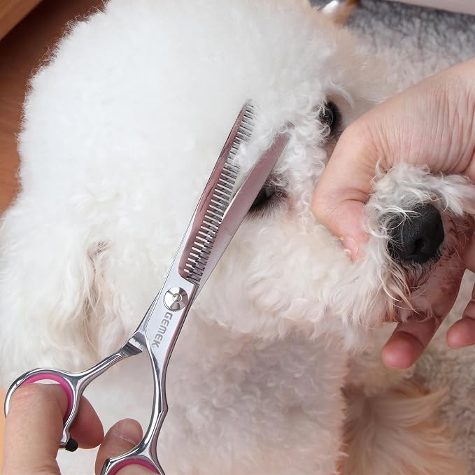 Dog Grooming Scissors with Safety Round Tips Stainless Steel Professional Dog Grooming Kit - Thinning, Curved Scissors and Comb for Cat Pet (Pink 4 in 1)