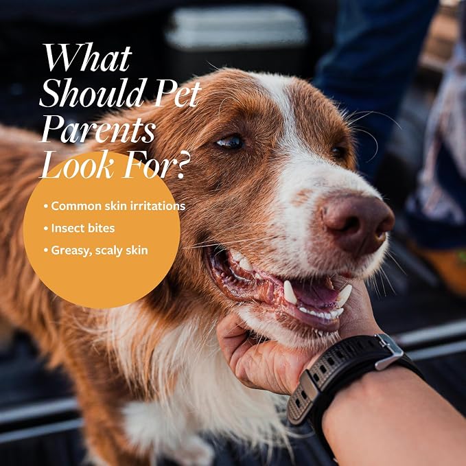 Veterinary Formula Clinical Care Dog Shampoo with Oatmeal and Tea Tree Oil, 128 oz – Fast-Acting, Gentle Medicated Shampoo for Dogs