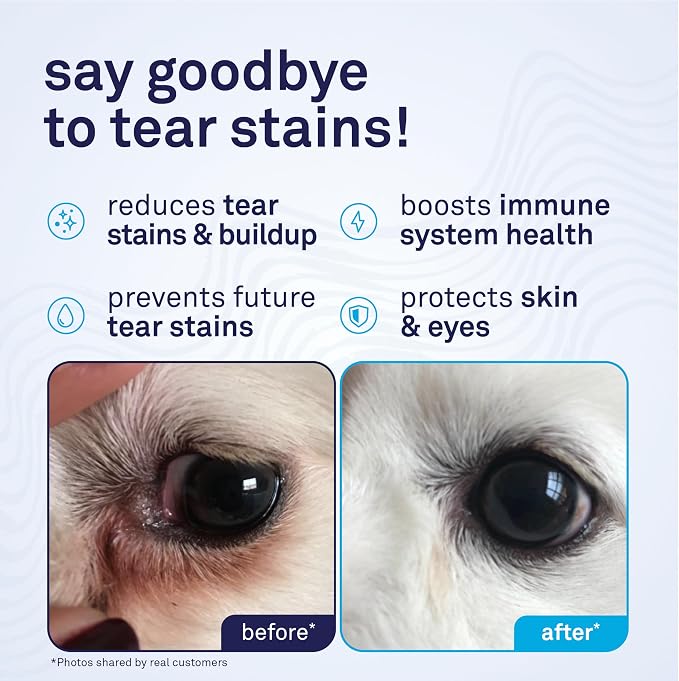 Petpost Tear Stain Remover Soft Chews for Dogs | 90 Count Cheese Flavor Dog Tear Stain Support Supplement | Gentle Eye Care for White Dogs & Light Breeds | Tylosin Free, Made in USA