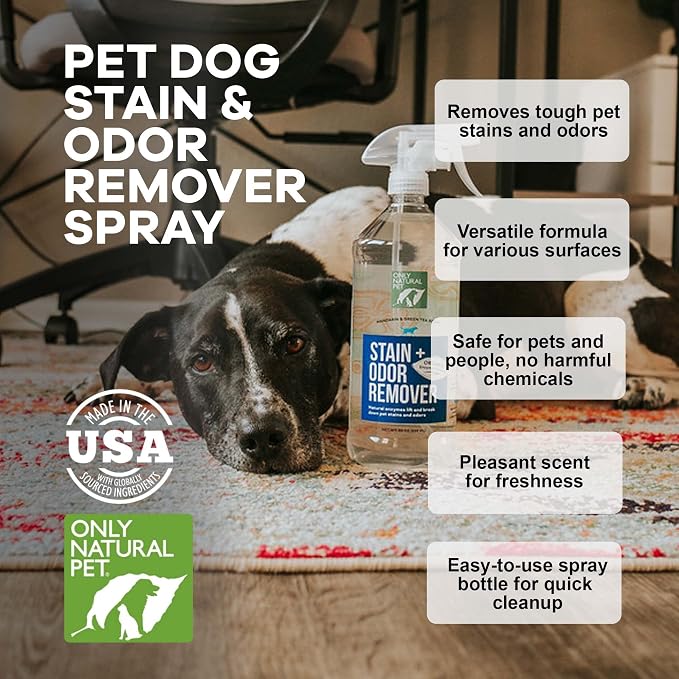Only Natural Pet Stain & Odor Remover – Enzyme-Based Plant-Derived Formula for Dogs – Dog Stain & Urine Cleaner for Hardwood, Carpet & Upholstery – Fresh Mandarin Orange & Green Tea – 32 fl oz