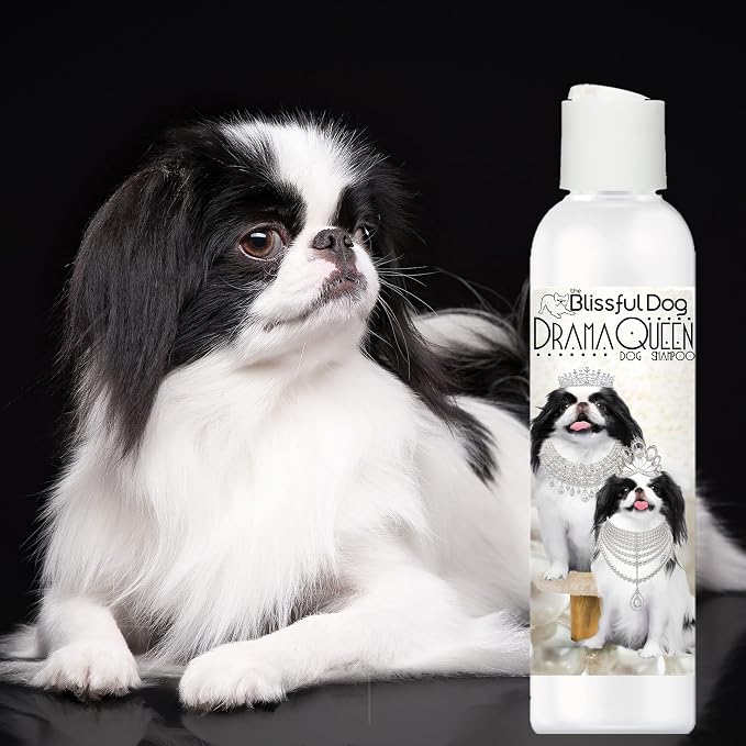The Blissful Dog Japanese Chin Drama Queen Dog Shampoo, 4 oz.