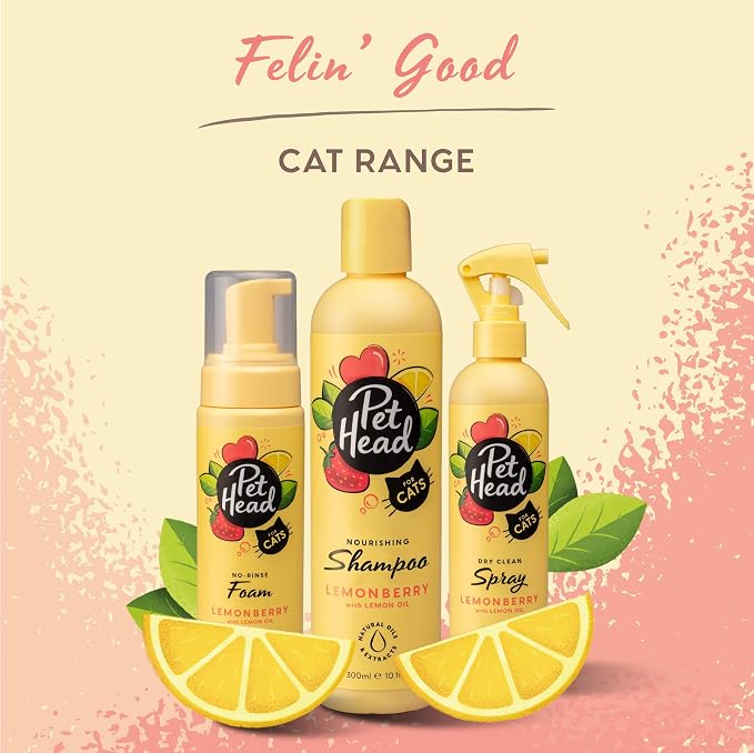 Pet Head Felin' Good Cat No Rinse Foam | Fruity Scent with Aloe Vera | Dry Cat Shampoo for Smelly Cats | Vegan | Lick-Safe | Gentle Formula for Kittens | Made in USA | 6.7 fl. oz.