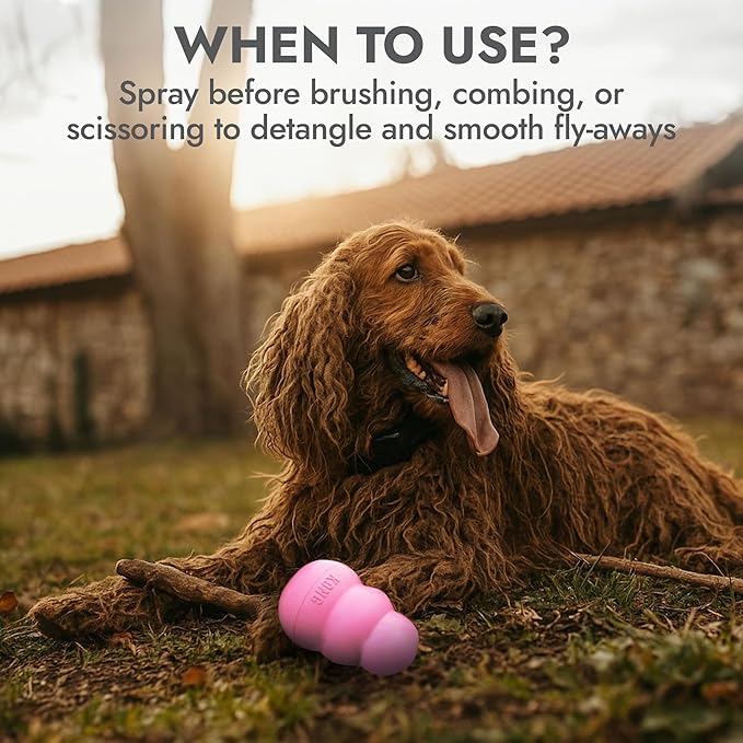 Kong Detangler Spray for Dogs – Cucumber Melon Scent, 16 fl oz – Loosens Knots, Softens & Smooths Coats, Biodegradable, Alcohol-Free, Dye-Free, Cruelty-Free, for Sensitive Skin, Made in USA