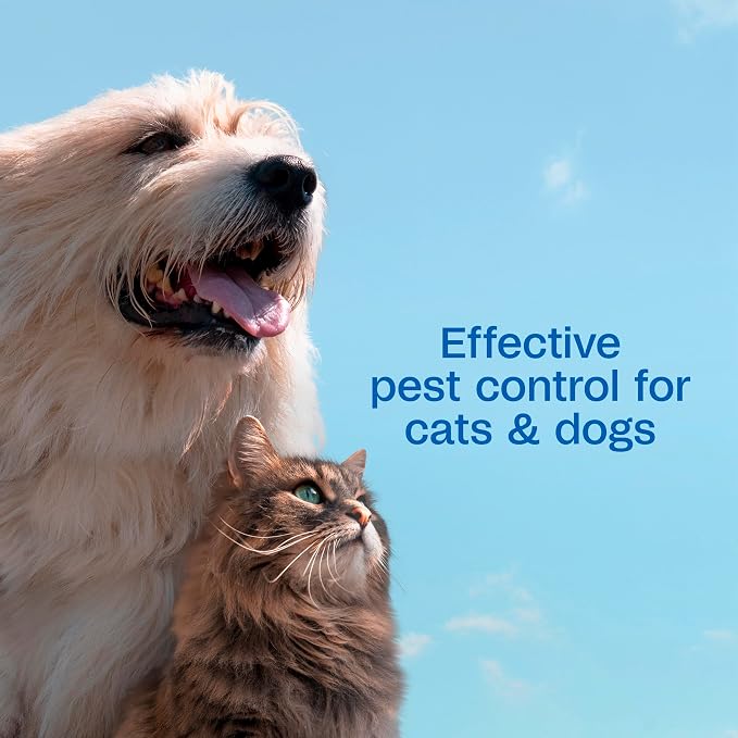 ADAMS Plus Flea & Tick Shampoo with Precor for Dogs, Cats, Puppies & Kittens, Flea Shampoo to Treat Infestations, Kills Ticks, Fleas, Flea Eggs & Lice, Cleans and Conditions Coat, 6 Ounces