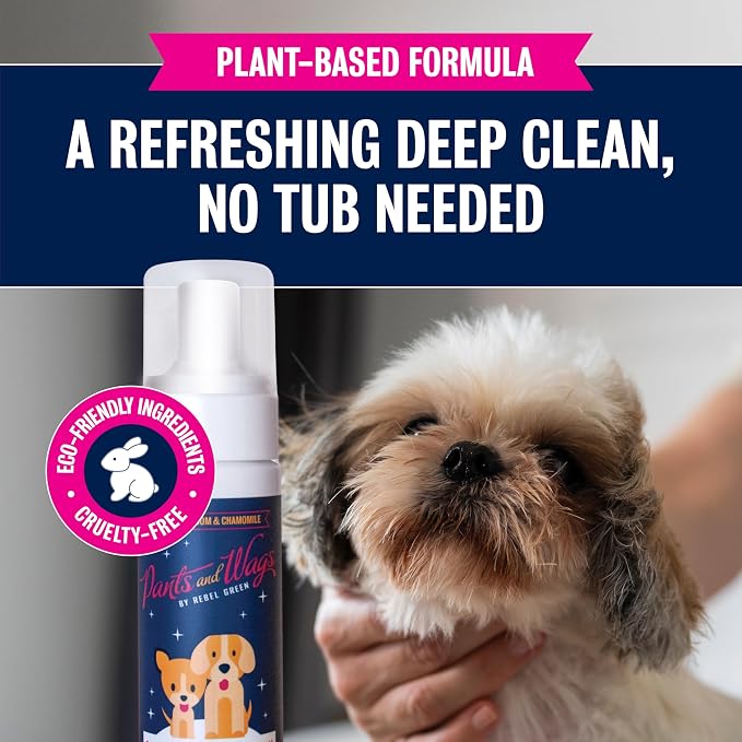 Pants & Wags by Rebel Green Bubbles & Suds Waterless Foam Pet Wash - Hypoallergenic No Rinse Dog Shampoo - Orange Blossom & Chamomile - No Dyes or Perfumes - 8 fl oz - 2-Pack