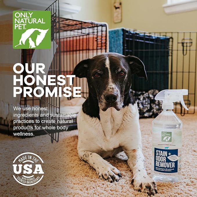 Only Natural Pet Stain & Odor Remover – Enzyme-Based Plant-Derived Formula for Dogs – Dog Stain & Urine Cleaner for Hardwood, Carpet & Upholstery – Fresh Mandarin Orange & Green Tea – 32 fl oz