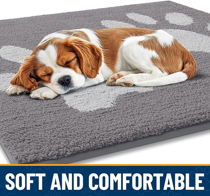 Smiry Dog Door Mat for Muddy Paws, Absorbs Moisture and Dirt, Low-Profile Entryway Mat with Non-Slip Backing, Entry Indoor Outdoor Doormat for Inside Floor (48x30 Inches, Light Grey, Paw)