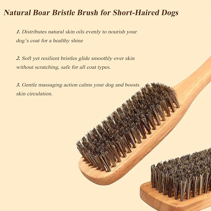 Boar Bristle Dog Brush for Short Haired Dogs, Natural Wooden Grooming Tool, Reduce Shedding, Detangle & Massage Sensitive Skin, Grooming to Calm Dogs & Build Pet Owner Bonding (Peach wood)