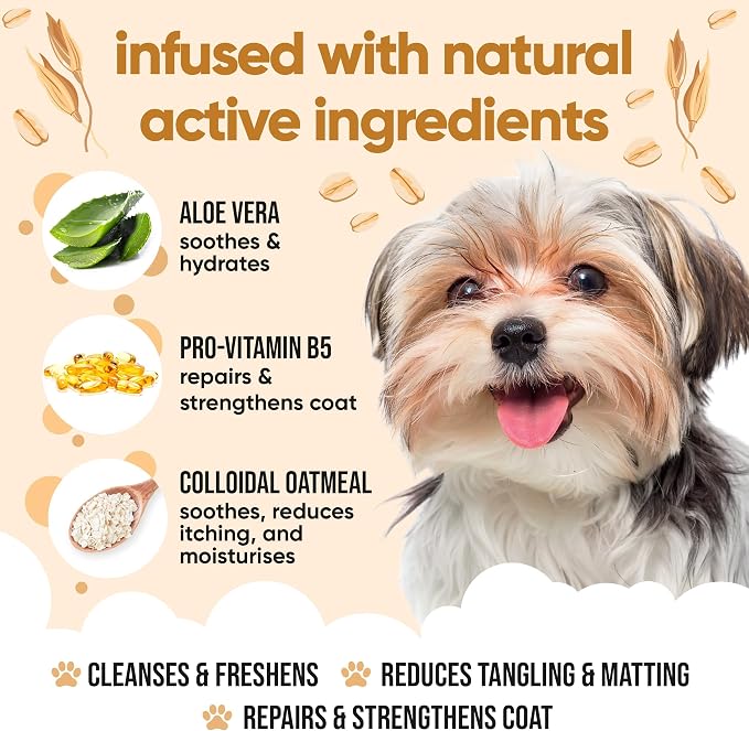 Oatmeal Dog Shampoo by Buddycare | Shampoo for Dogs with Irritated Skin | Relieving and Rehydrating | with Aloe Vera and Pro Vitamin B5 (169.07oz)