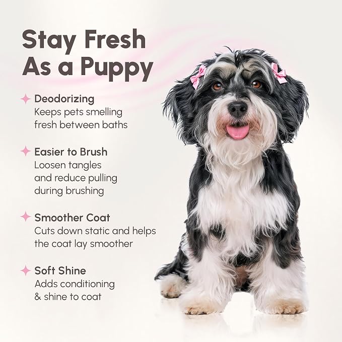 Best Shot Scentament Spa Botanical Body Splash, Detangler Spray, Body Spray for Pets, Cat and Dog Cologne Spray, Mandarin Jasmine Honey, 8 Oz.