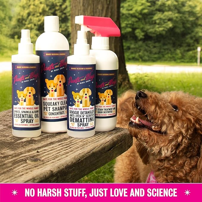 Pants and Wags Spritz, Sparkle & Shine Essential Oil Spray - Orange Blossom & Chamomile - Hypoallergenic - No Dyes or Perfumes - 8 oz - 2 Pack
