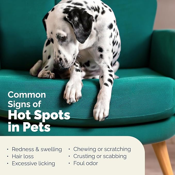 Vetnique Dermabliss Hot Spot Treatment Spray for Dogs Cats, Skin Relief | 4% Chlorhexidine Antiseptic Spray & Antibacterial Dog Spray, Hot Spot & Wound Care, Skin Irritation & Itch Relief, No-Sting