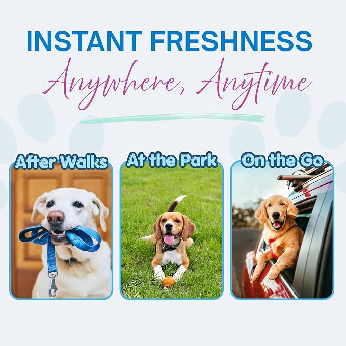 Dry Shampoo Powder & Coat Deodorizer for Dogs (Fresh & Clean) | Waterless No-Rinse Squeeze Bottle Formula | Calming Scent | Talc and Alcohol Free | Safe for Sensitive Skin | Made in USA