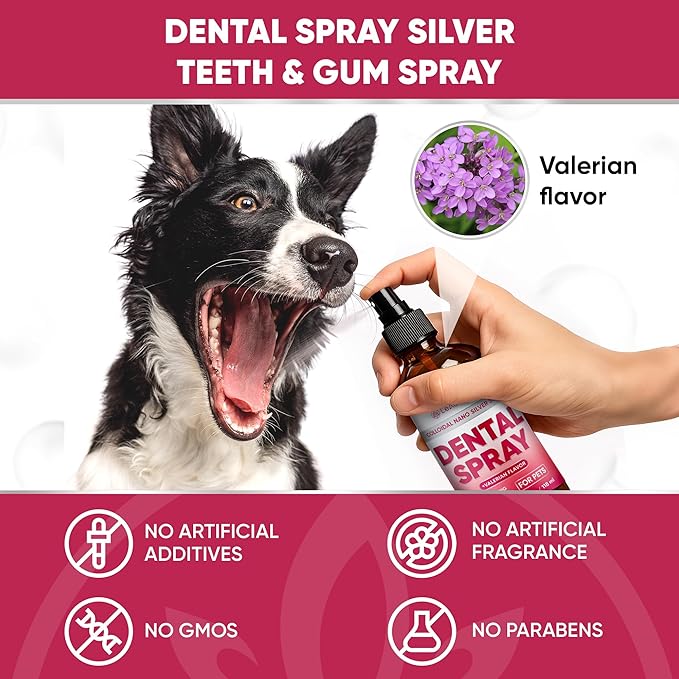 Dental Spray for Pets – Cat & Dog Breath Freshener that Helps with Tartar, Plaque, & Bad Odor – Silver 50 PPM + Valerian Flavour for Dog Teeth Cleaning – 4 Oz