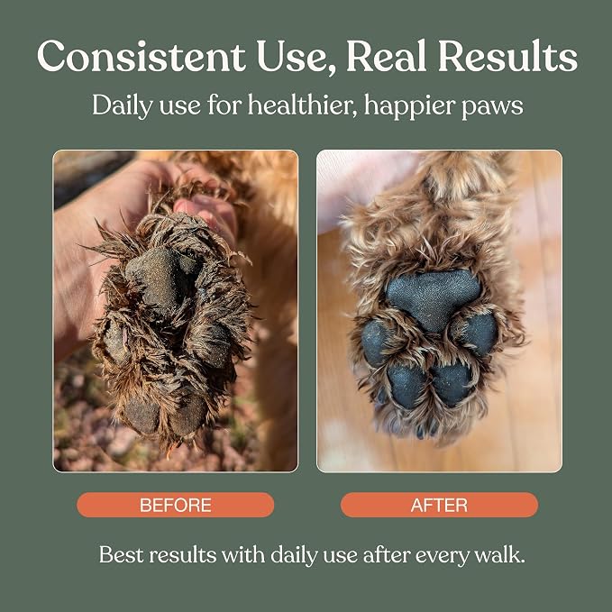 Dandylion Dog Paw Cleaner, Clean Paws, Dog Paw Washer, No Rinse Foam Cleaner for Dogs, Fragrance Free pH Balanced Foaming Washer with Silicone Brush, Pet Cleaning Supplies, 5 fl oz