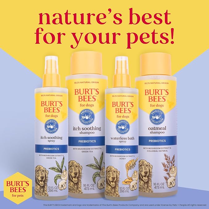 Burt's Bees for Pets Waterless Bath Spray for Dogs, Prebiotics Collection with Mushroom Extract & Honey, Naturally Derived Dog Grooming Spray, 10oz