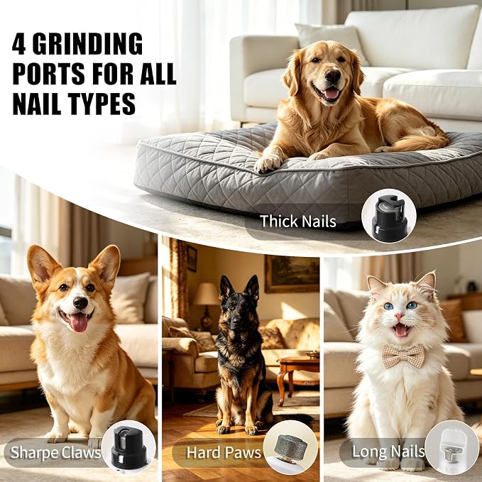 New dog nail grinder with LCD screen, 6 speeds, 4 types of grinding heads, suitable for all types of cat and dog nail, silent groom pro nail grinder, Quiet and low-vibration | Long battery life