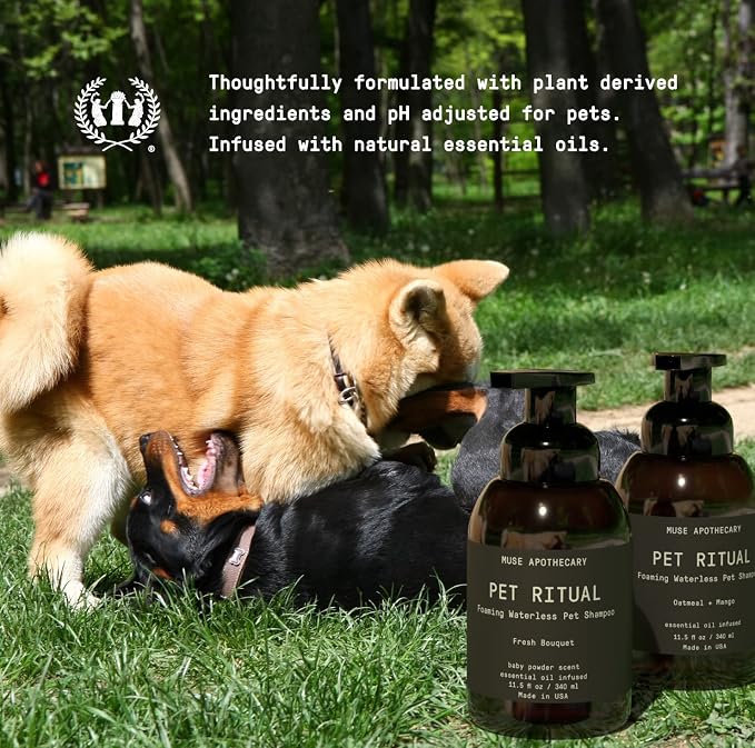 Muse Apothecary Pet Ritual Foaming Waterless Dog Shampoo - No Rinse Dry Shampoo for Dogs & Cats - Essential Oils Infused, 11.5oz Lavender Fields