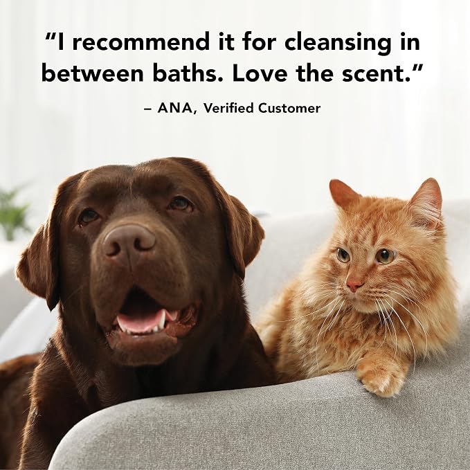 Pride and Groom The Mane Tame Dog Dry Shampoo – Waterless Foam for Dogs and Cats Made in USA for a Rinse Free Cleanse and to Eliminate Odor in Between Baths On-The-Go – 7.1 fl oz