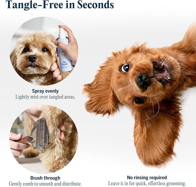 FlyDog Detangler Combo for Dogs & Cats – Leave-in Hair Detangler Spray for Tangle-Free Grooming & Tailored Comb for Dematting & Deshedding | Coat Conditioner | Deodorizing & Long-Lasting Freshness