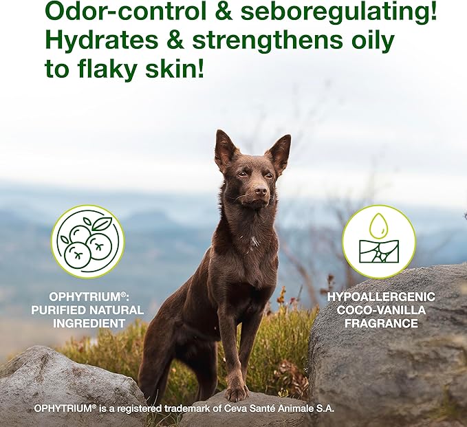 Douxo S3 SEB Dog Seboregulating Shampoo, Seborrhea Treatment for Dogs & Cats, Helps Control Dandruff, Unpleasant Odors & Oily/Flaky Skin, 0.5% Ophytrium, 6.7 fl oz
