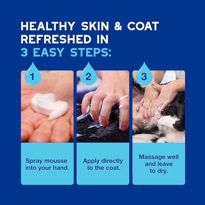 DOUXO SPA Waterless Dog Shampoo, 10 fl oz, Leave-On Mousse, Cleans and Refreshes, Leaves the Coat Soft, Radiant and Smelling Great, Ultra-Safe Formula