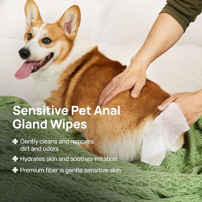 HICC PET Wipes for Dogs & Cats, Cleaning Deodorizing Anal Gland Wipes, Hypoallergenic Hydrating & Nourish Fur Dog Grooming Wipes for Paw, Butt, Body