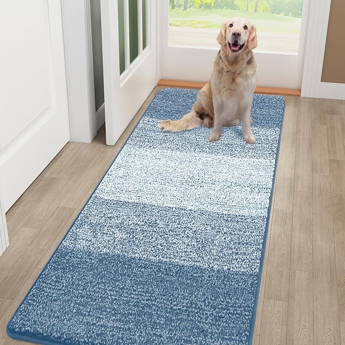 Smiry Dog Door Mat for Muddy Paws, Absorbs Moisture and Dirt, Low-Profile Entryway Mat with Non-Slip Backing, Entry Indoor Outdoor Doormat for Inside Floor (54x32 Inches, Light Blue, Striped)
