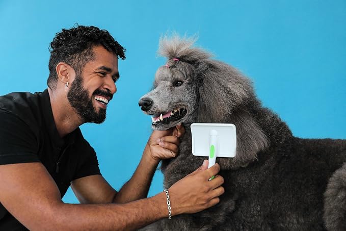 Andis 68540 Self-Cleaning Animal Slicker Brushes with Curved Stainless-Steel Bristles for All Breeds - Reduces Shedding by Up to 90%, Removes Tangles, Dirt & Loose Hair – Large, Green