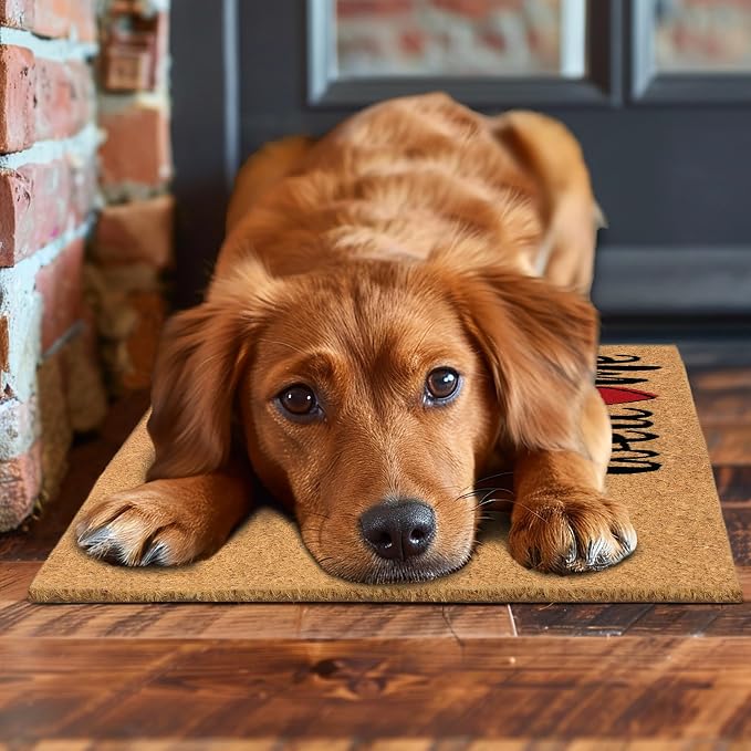 Croft&Cane Coco Coir Doormat - Welcome Doormat with Heart Accent - Non Slip Dirt Trapping Low Profile Indoor Outdoor Front Door Mat for Porch, Patio & Entryway - 17 x 30 Inches
