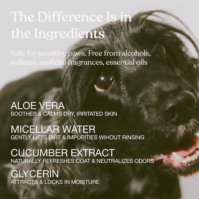 Dandylion Waterless Dog Shampoo, Fresh Coat, Dog Dry Shampoo, Dry Shampoo for Dogs, No Rinse Fragrance Free Cleansing Spray, Waterless Shampoo for Dogs, Dry Shampoo Alternative, 8.4 fl oz