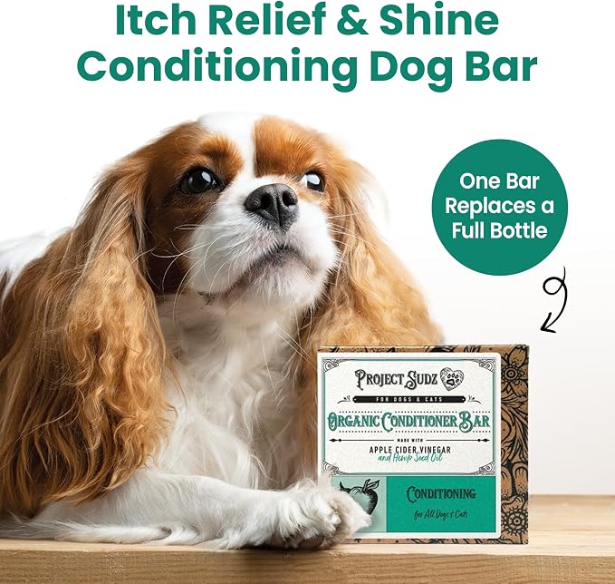 Project Sudz Dog Shampoo and Conditioner Bar with Hemp Seed Oil | Organic Dog Shampoo for Allergies and Itching | All Natural Bar Shampoo and Conditioner (1)