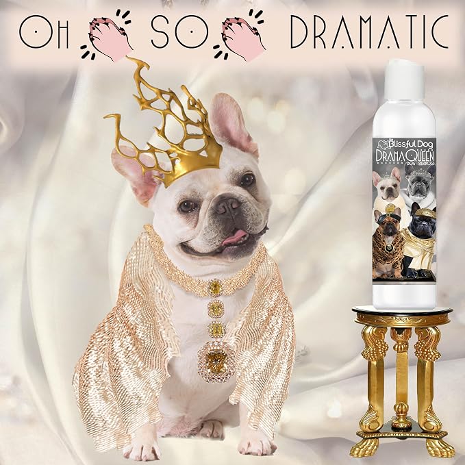 The Blissful Dog French Bulldog Drama Queen Dog Shampoo, 16 oz.