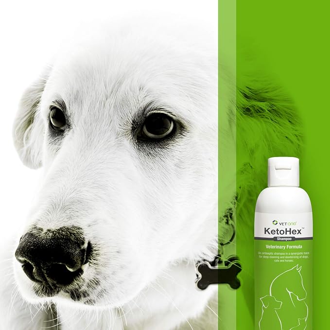 Vet One Shampoo, 8 oz